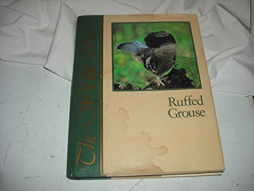 Ruffed Grouse