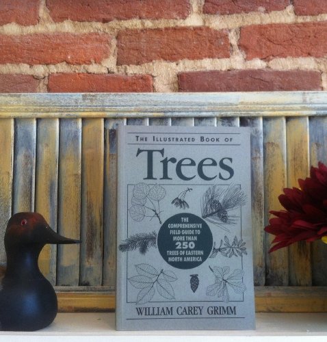 Stock image for Illustrated Book of Trees for sale by ThriftBooks-Reno