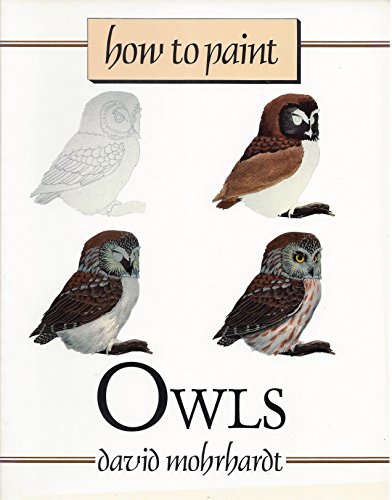 Stock image for How to Paint Owls for sale by SecondSale