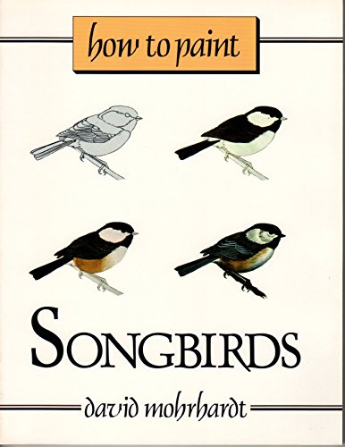 Stock image for How to Paint Songbirds : A Guide to Materials, Tools, and Technique for sale by Better World Books
