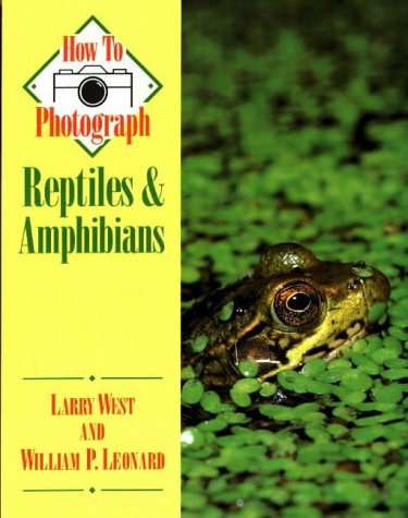 Stock image for How to Photograph Reptiles & Amphibians (How To Photograph Series) for sale by SecondSale