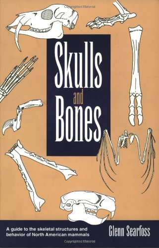 Stock image for Skulls and Bones: A Guide to the Skeletal Structures and Behavior of North American Mammals for sale by Ergodebooks