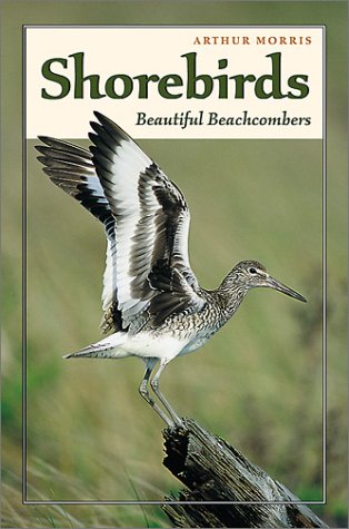 Beispielbild fr Shorebirds: Beautiful Beachcombers zum Verkauf von Wonder Book