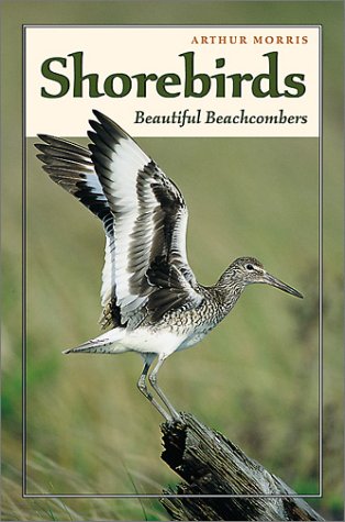 Stock image for Shorebirds: Beautiful Beachcombers for sale by Wonder Book