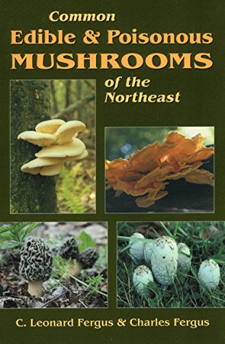 Imagen de archivo de Common Edible & Poisonous Mushrooms of the Northeast a la venta por Book Deals