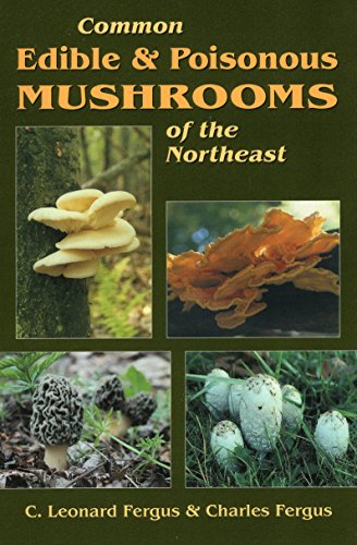 Stock image for Common Edible & Poisonous Mushrooms of the Northeast for sale by HPB-Red