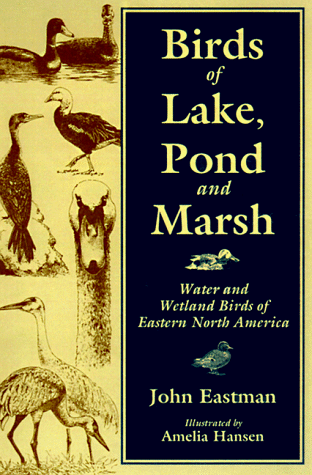 Stock image for Birds of Lake Pond & Marsh: Water and Wetland Birds of Eastern North America for sale by HPB-Diamond