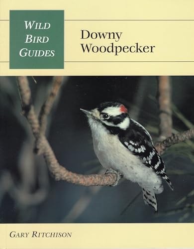 Stock image for Downy Woodpecker for sale by Better World Books