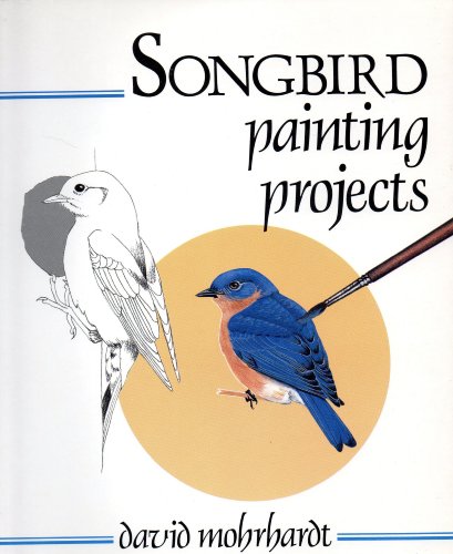 Stock image for Songbird Painting Projects for sale by The Book Shelf