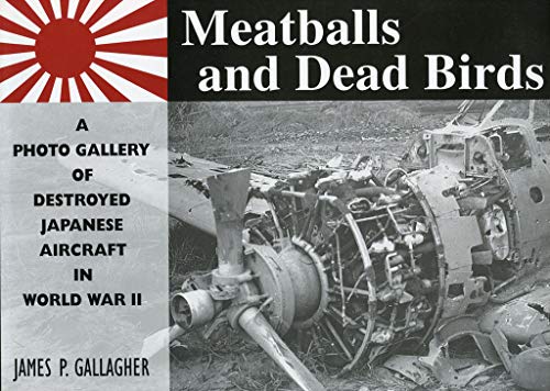 Meatballs and Dead Birds: A Photo Gallery of Destroyed Japanese Aircraft in World War II