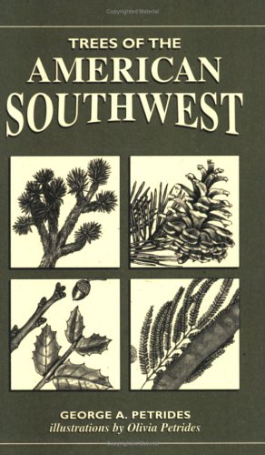 9780811731652: Trees Of The American Southwest