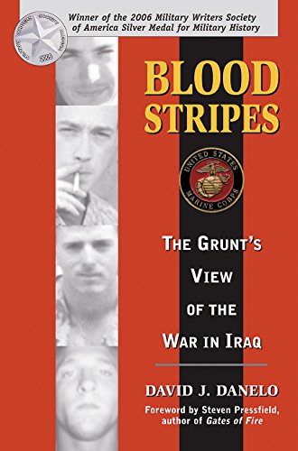 Beispielbild fr Blood Stripes: The Grunt's View of the War in Iraq zum Verkauf von WorldofBooks