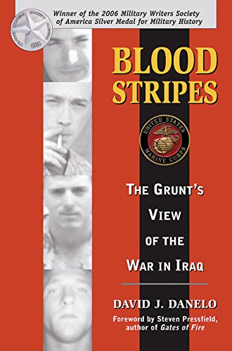 

Blood Stripes: The Grunt's View of the War in Iraq [signed]