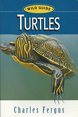 Imagen de archivo de Turtles: Wild Guide (Wild Guide Series) a la venta por Wonder Book