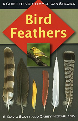 Beispielbild fr Bird Feathers: A Guide to North American Species zum Verkauf von Black Cat Books