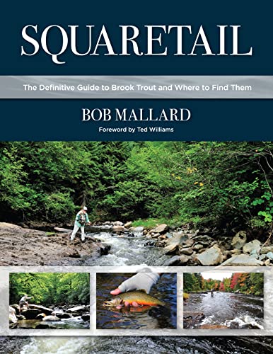 Stock image for Squaretail: The Definitive Guide to Brook Trout and Where to Find Them for sale by SecondSale
