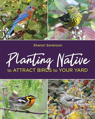 Beispielbild fr Planting Native to Attract Birds to Your Yard zum Verkauf von Wonder Book