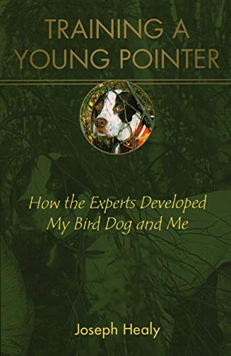 Stock image for Training a Young Pointer: How the Experts Developed My Bird Dog and Me for sale by Brook Bookstore