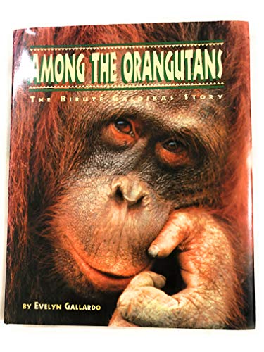 Imagen de archivo de Among the Orangutans: The Birute Galdikas Story a la venta por The Book Cellar, LLC