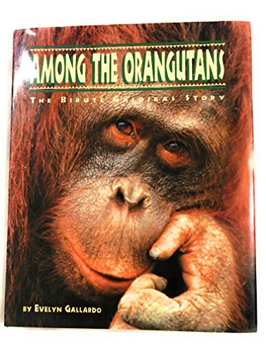 9780811800310: Among the Orangutans: The Birute Galdikas Story