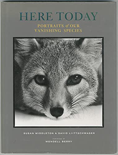 Stock image for Here Today: Portraits of Our Vanishing Species for sale by HPB Inc.