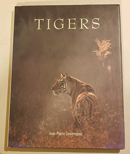 Stock image for Tigers for sale by Mr. Bookman