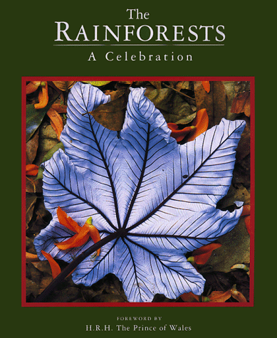 Imagen de archivo de Rainforests Pb a la venta por AwesomeBooks