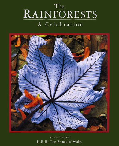 Stock image for Rainforests : A Celebration for sale by Better World Books