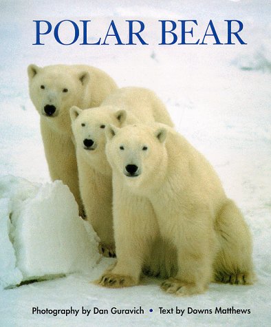 Beispielbild fr Polar Bear zum Verkauf von Wonder Book