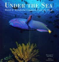 Stock image for Under the Sea for sale by ThriftBooks-Atlanta