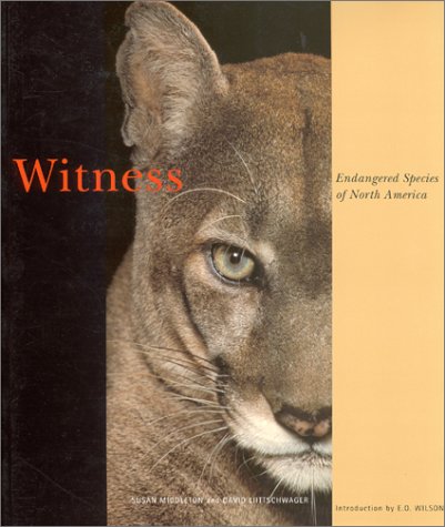 Beispielbild fr Witness: Endangered Species of North America zum Verkauf von Wonder Book