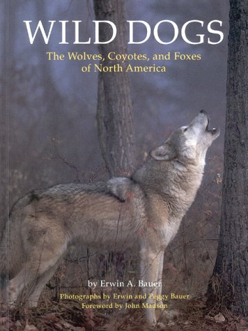 Stock image for Wild Dogs: Wolves, Coyotes and Foxes of North America for sale by WorldofBooks