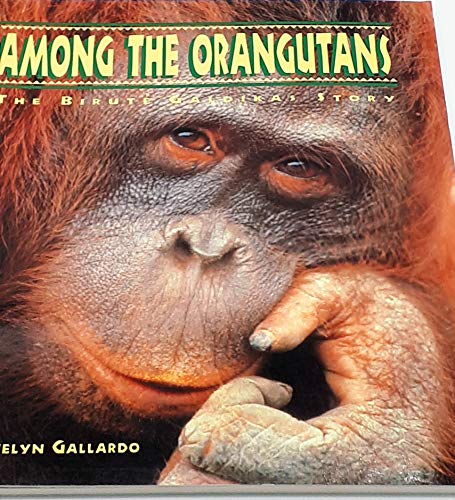 9780811804080: Among the Orangutans: Birute Galdikas Story (The Great Naturalists)