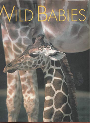 Wild Babies (9780811804776) by Nan Richardson; Catherine Chermayeff