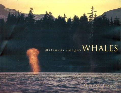 Stock image for Mitsuaki Iwago's Whales for sale by Wonder Book