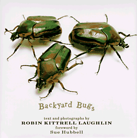 Imagen de archivo de Backyard Bugs a la venta por ThriftBooks-Atlanta