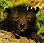 Beispielbild fr Wild Puppies zum Verkauf von Wonder Book