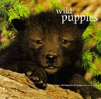 Stock image for Wild Puppies for sale by BookHolders