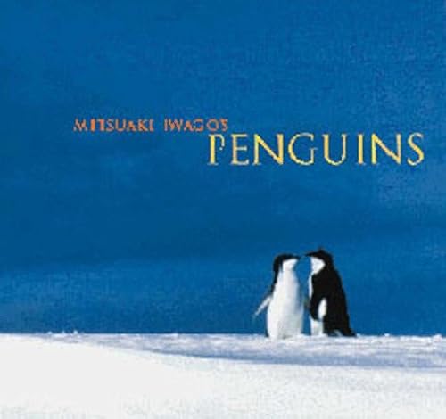 Stock image for Mitsuaki Iwago's Penguins for sale by Wonder Book