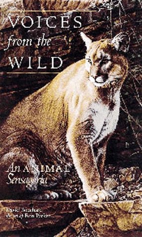 Stock image for Voices from the Wild: An Animal Sensagoria for sale by WorldofBooks