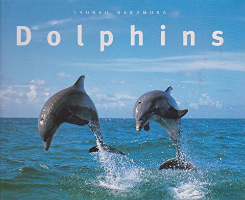 Imagen de archivo de Dolphins a la venta por Firefly Bookstore