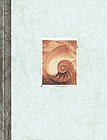 Seashell Journal (9780811816694) by Schenck, Deborah