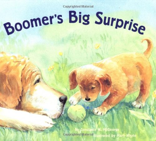 9780811819770: Boomer's Big Surprise (Boomer, BOOM)