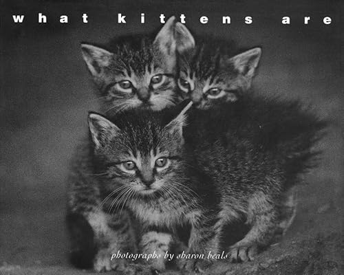 Beispielbild fr What Kittens Are zum Verkauf von Wonder Book