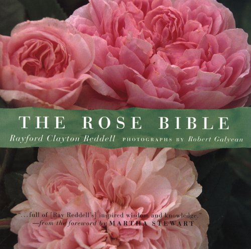 Beispielbild fr Rose Bible zum Verkauf von Better World Books