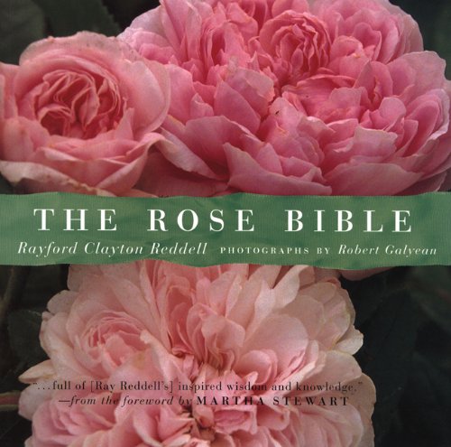 Imagen de archivo de The Rose Bible a la venta por Your Online Bookstore