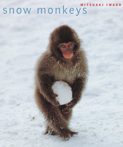 Imagen de archivo de Snow Monkeys a la venta por Open Books