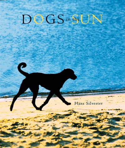 Imagen de archivo de Dogs in the Sun a la venta por ThriftBooks-Dallas