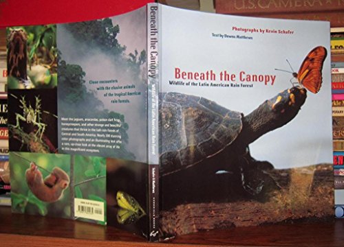 9780811822435: BENEATH THE CANOPY ING: Wildlife of the Latin American Rain Forest: 1