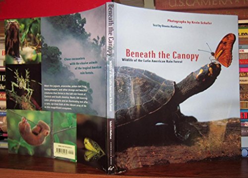 Stock image for Beneath the Canopy: Wildlife of the Latin American Rain Forest for sale by SecondSale